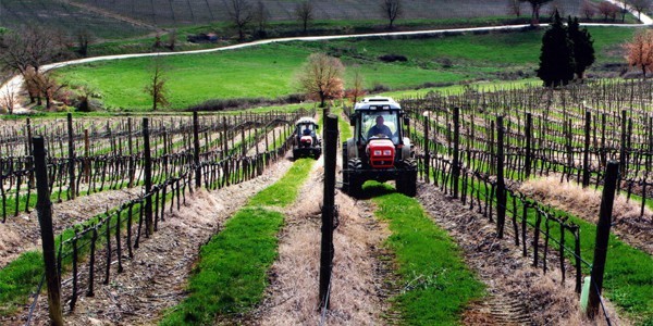Piccolo imprenditore agricolo Piccolo imprenditore agricolo