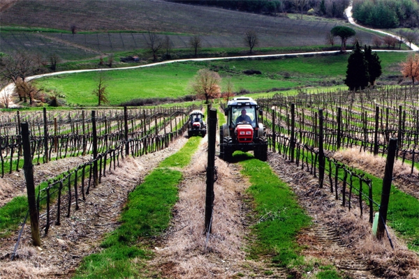 Piccolo imprenditore agricolo