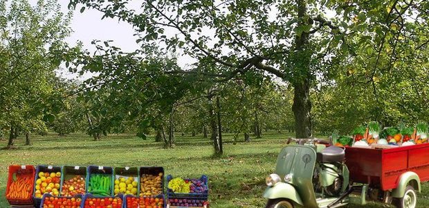 Vendita diretta su area privata imprenditore agricolo Vendita diretta su area privata imprenditore agricolo