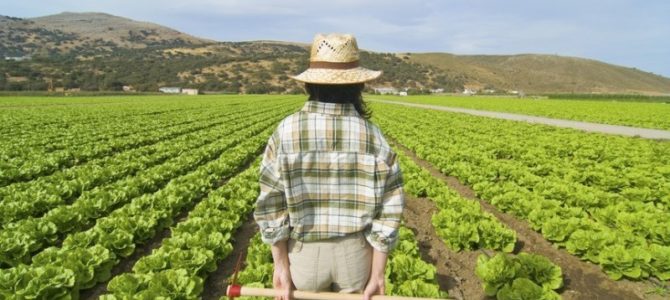 Corso IAP – Imprenditore agricolo professionale Corso IAP – Imprenditore agricolo professionale