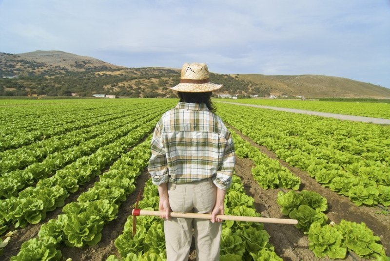 Corso  IAP – Imprenditore agricolo professionale